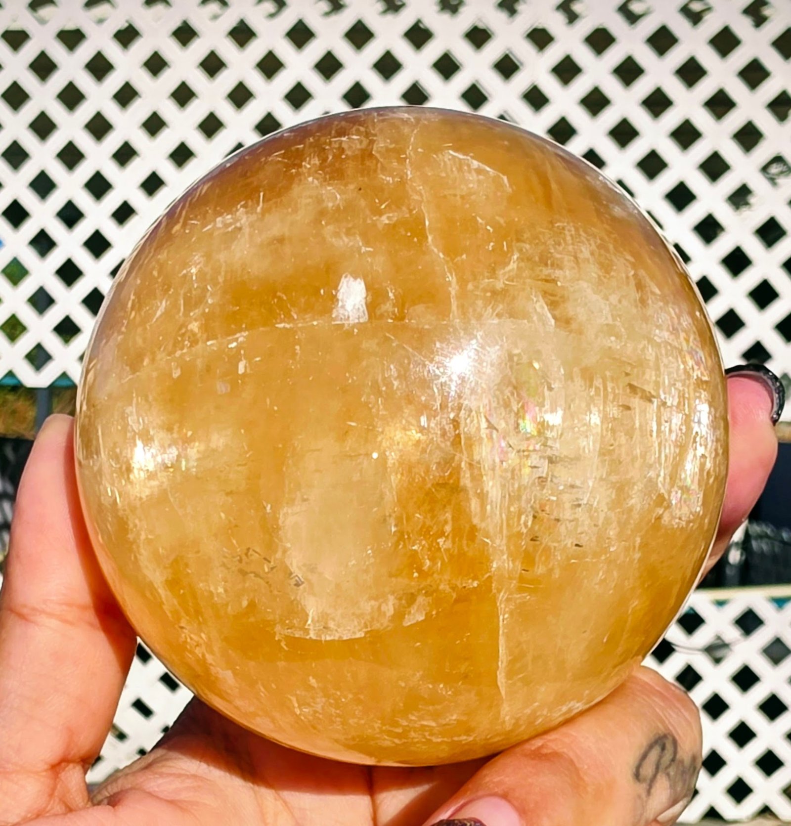 20251014_163624~2_Original