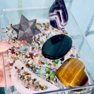 The Focus Keeper Plate