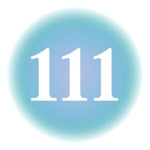 The Manifestation Box 